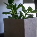 Apartament The Keep38 Rhodes City