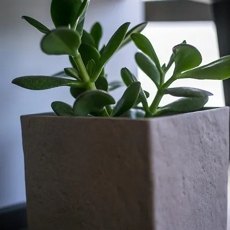 Апартаменты The Keep38 Родос