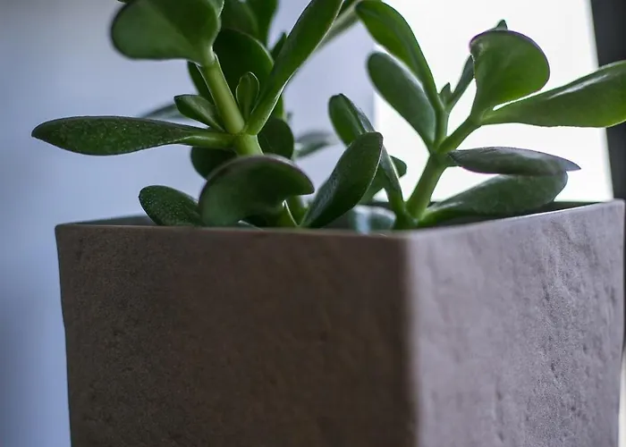 Апартаменти The Keep38 Rhodes City